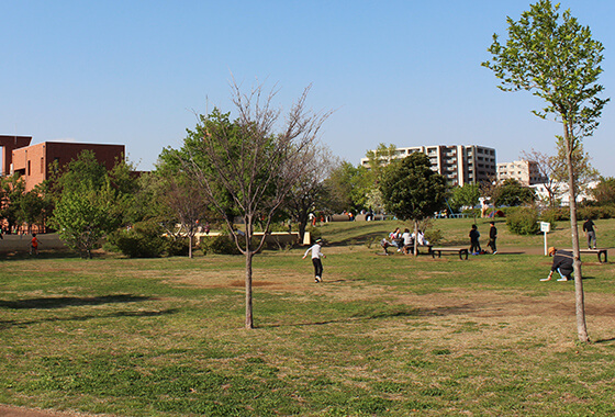 太尾南公園