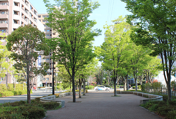 横浜アリーナ近く歩道
